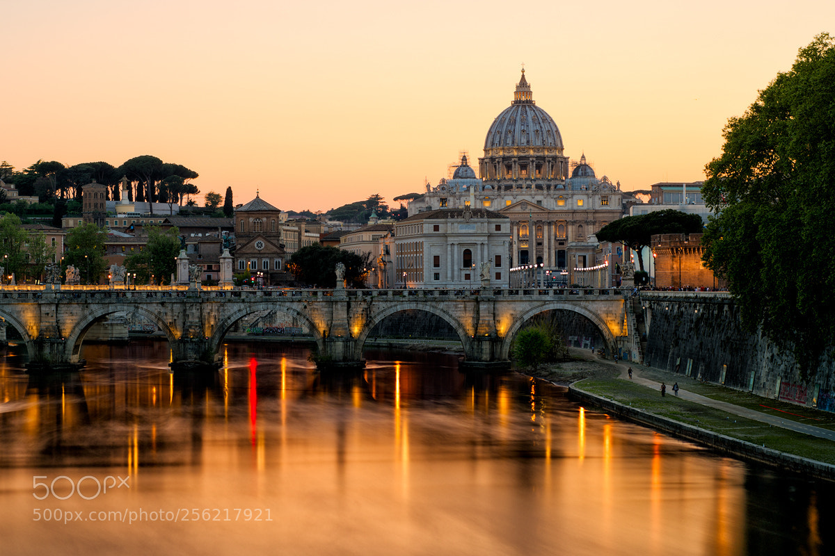 Nikon D850 sample photo. Tiber photography