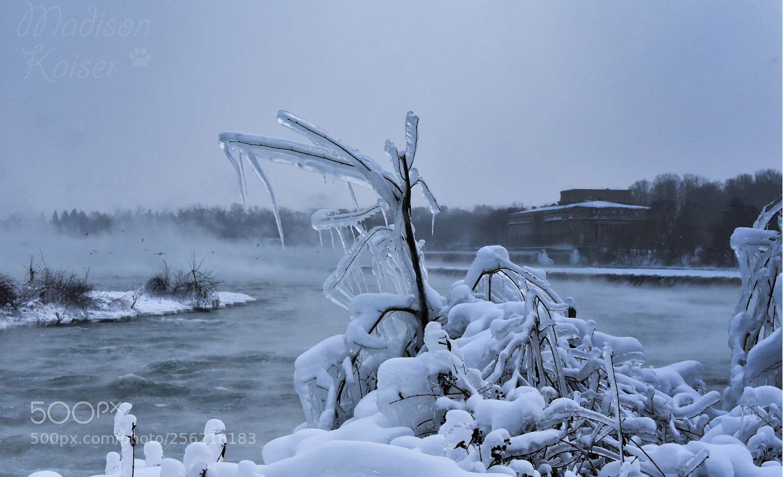 Nikon D3400 sample photo. Ice photography