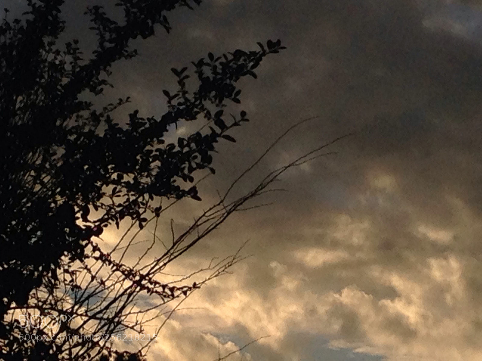 Apple iPhone 5c sample photo. Sky photography