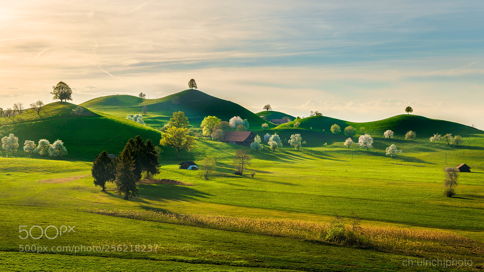 Sony a6500 sample photo. One tree hill land photography