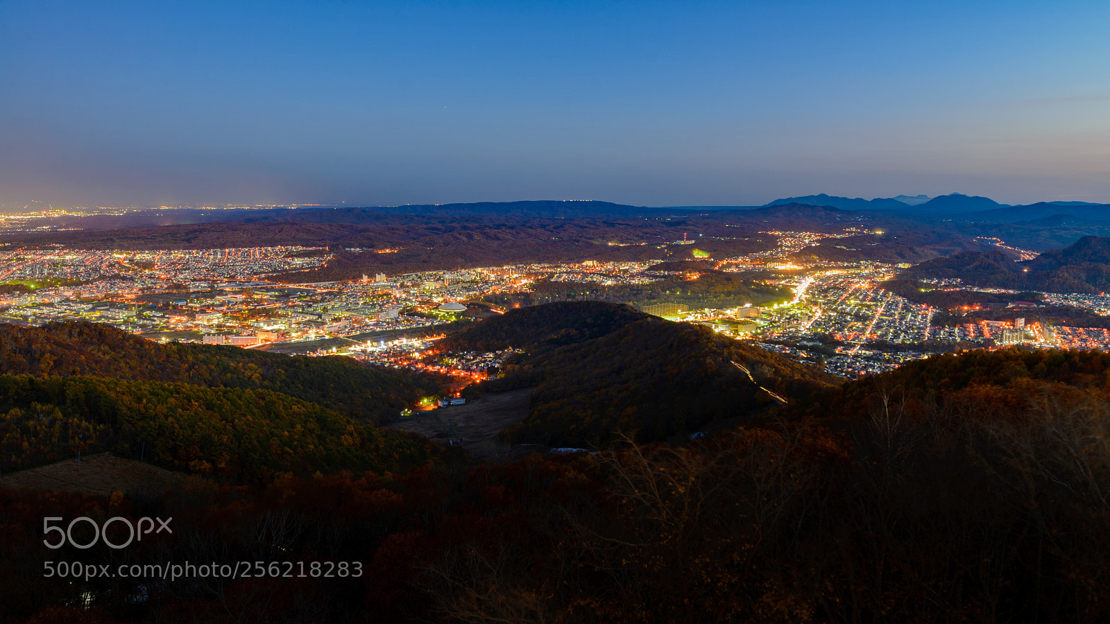 Nikon D610 sample photo. Night light photography