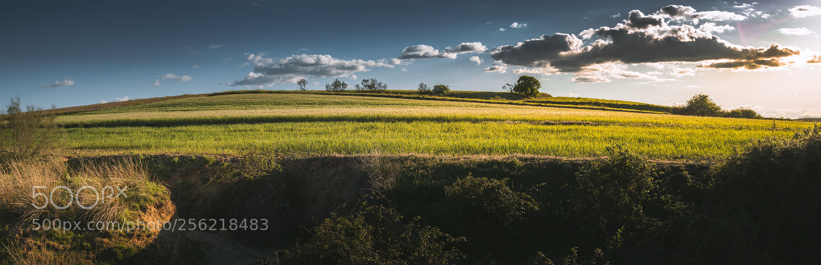 Nikon D3200 sample photo. Sunset at the hill photography