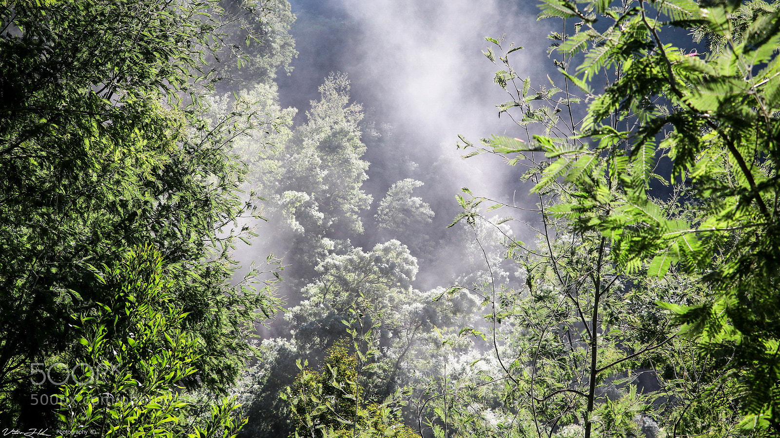 Canon EOS 80D sample photo. Morning mist - lous photography