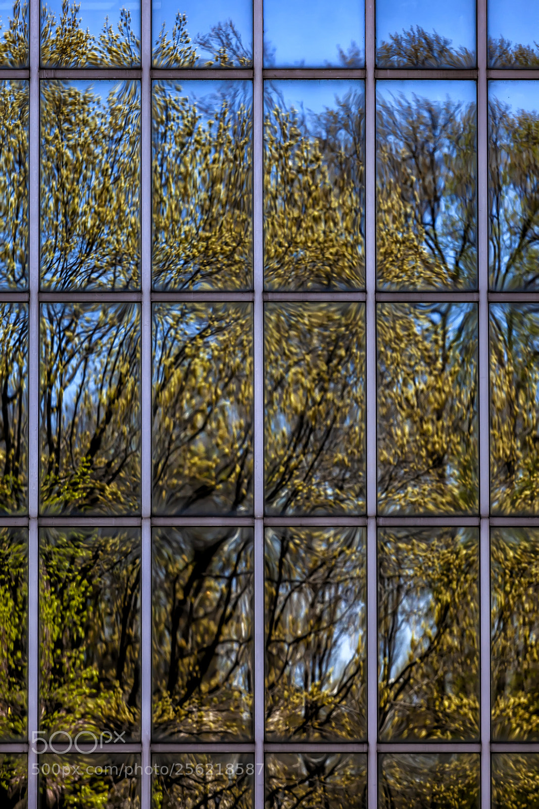 Canon EOS 5D Mark II sample photo. Reflective windows metropolitna museum photography