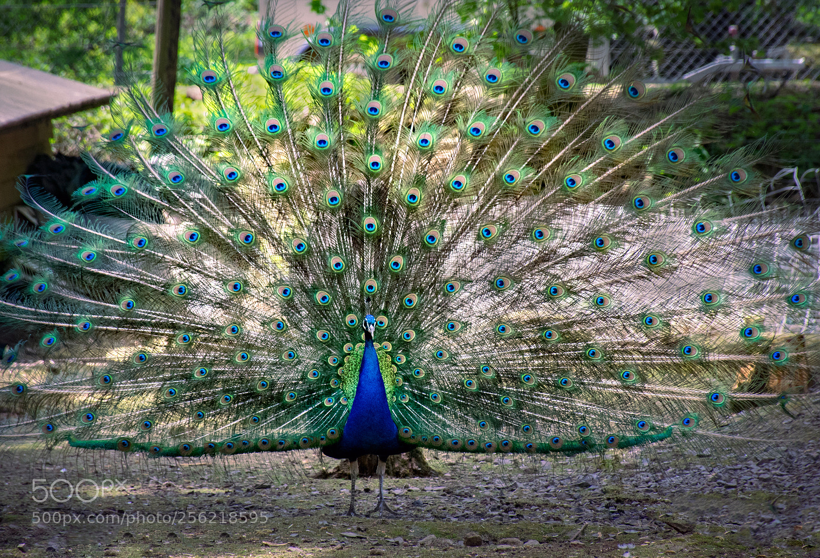 Nikon D5300 sample photo. Untitled photography