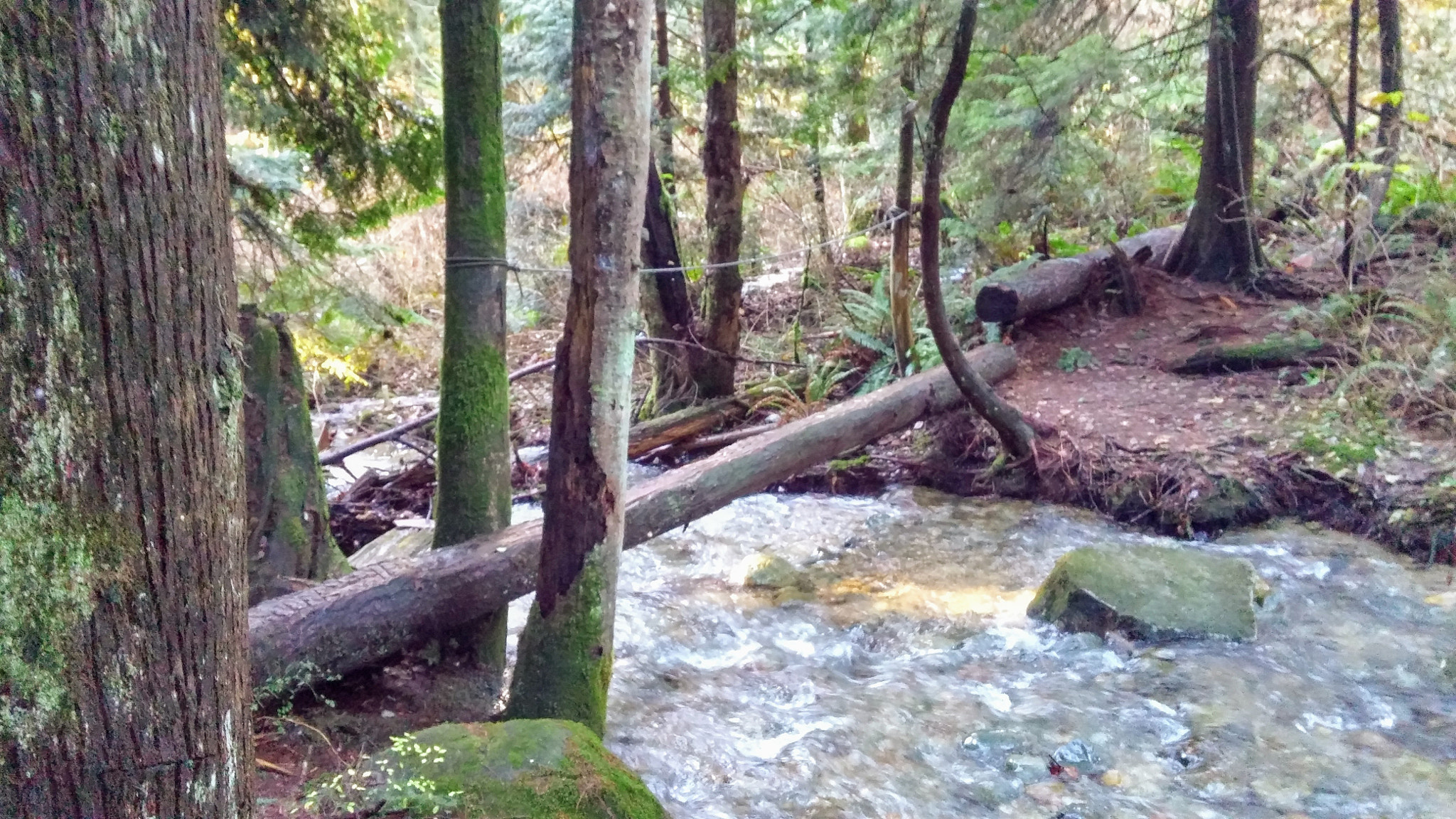 LG G3 sample photo. River crossing photography