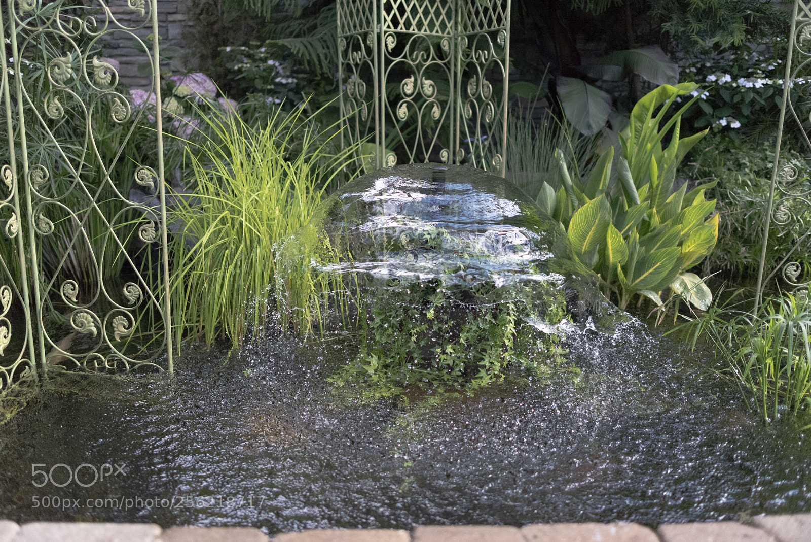 Nikon D750 sample photo. Fountain dsc photography