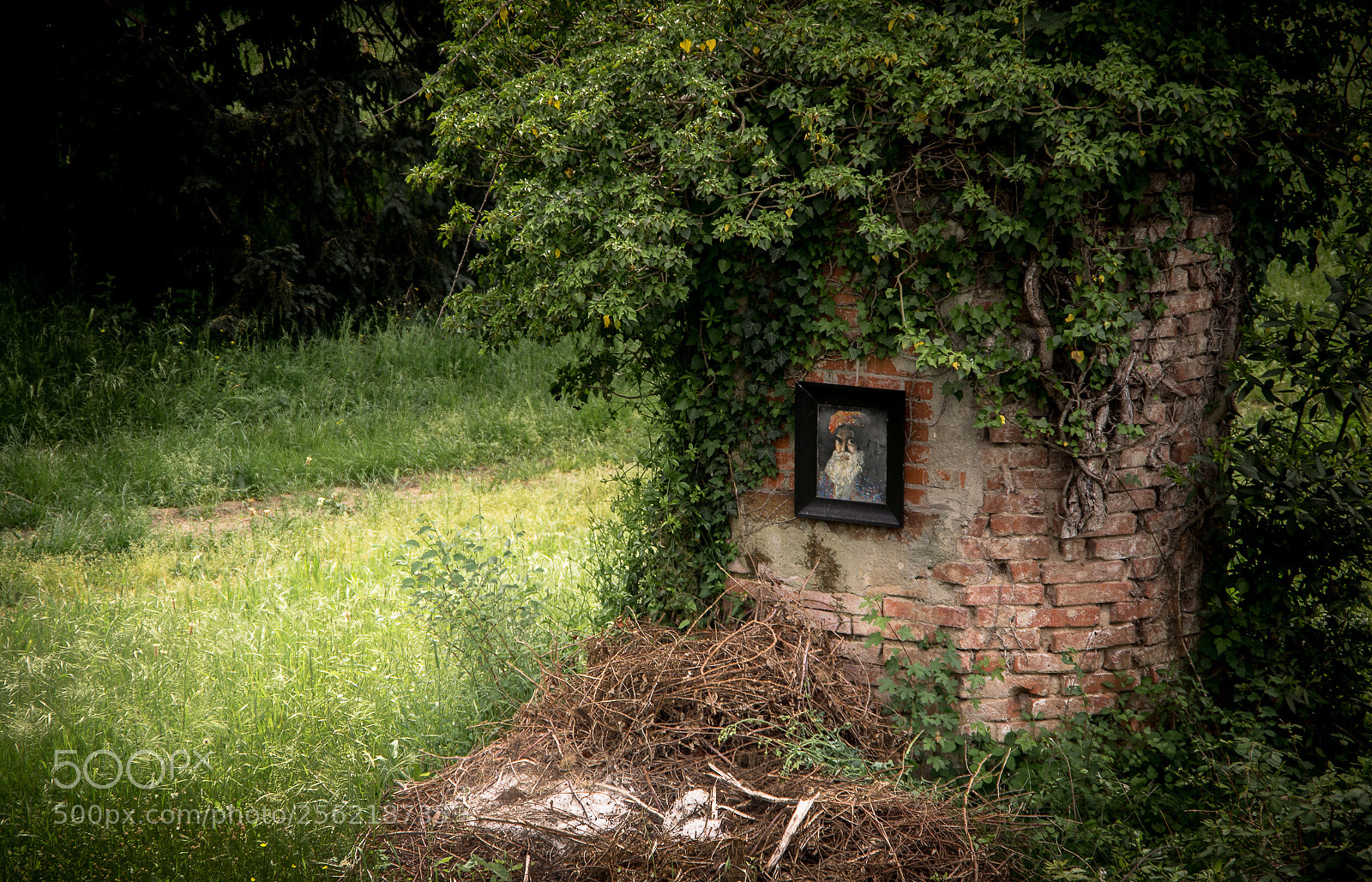 Pentax K-3 sample photo. The portrait photography