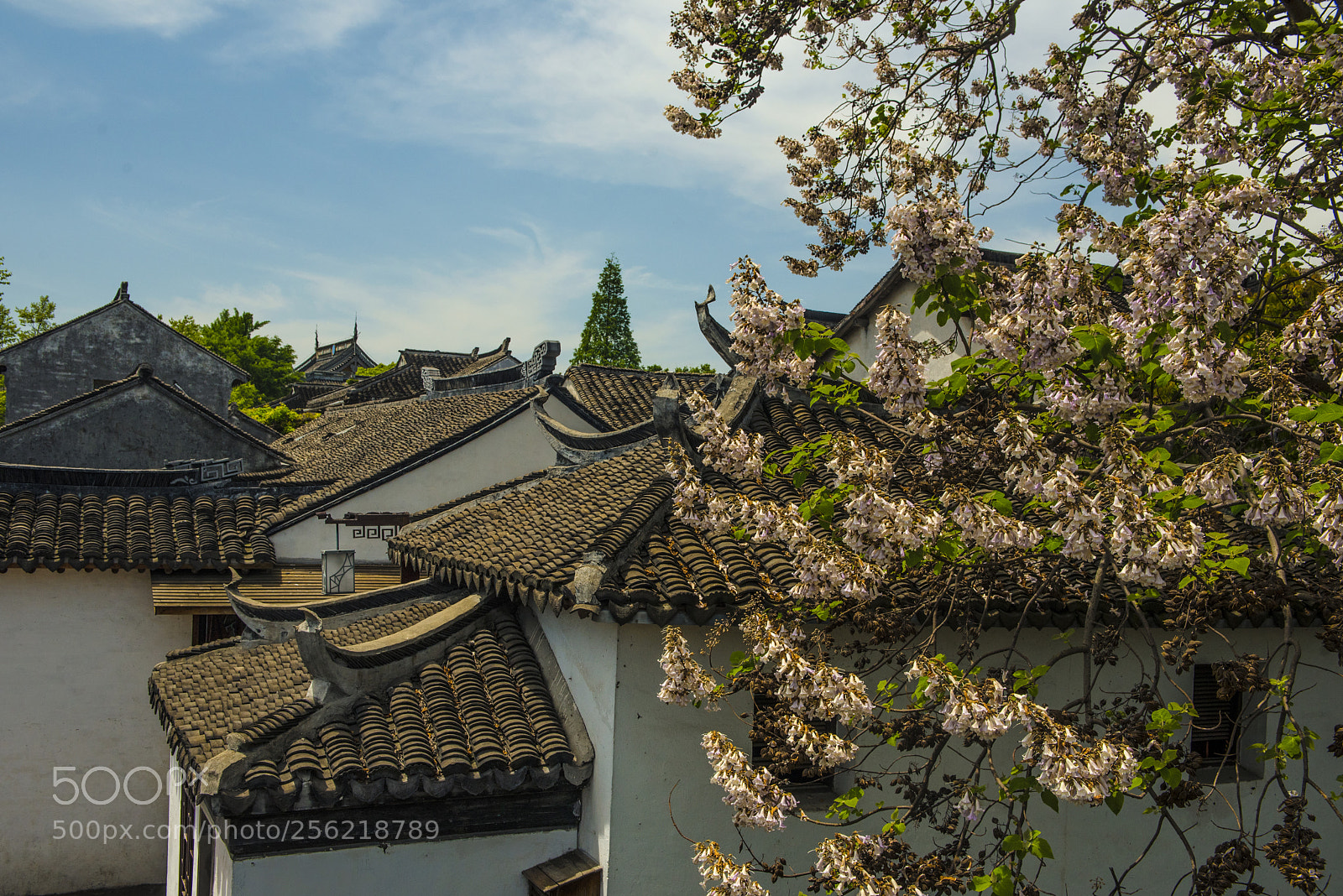 Nikon D750 sample photo. Roofs and flowers photography