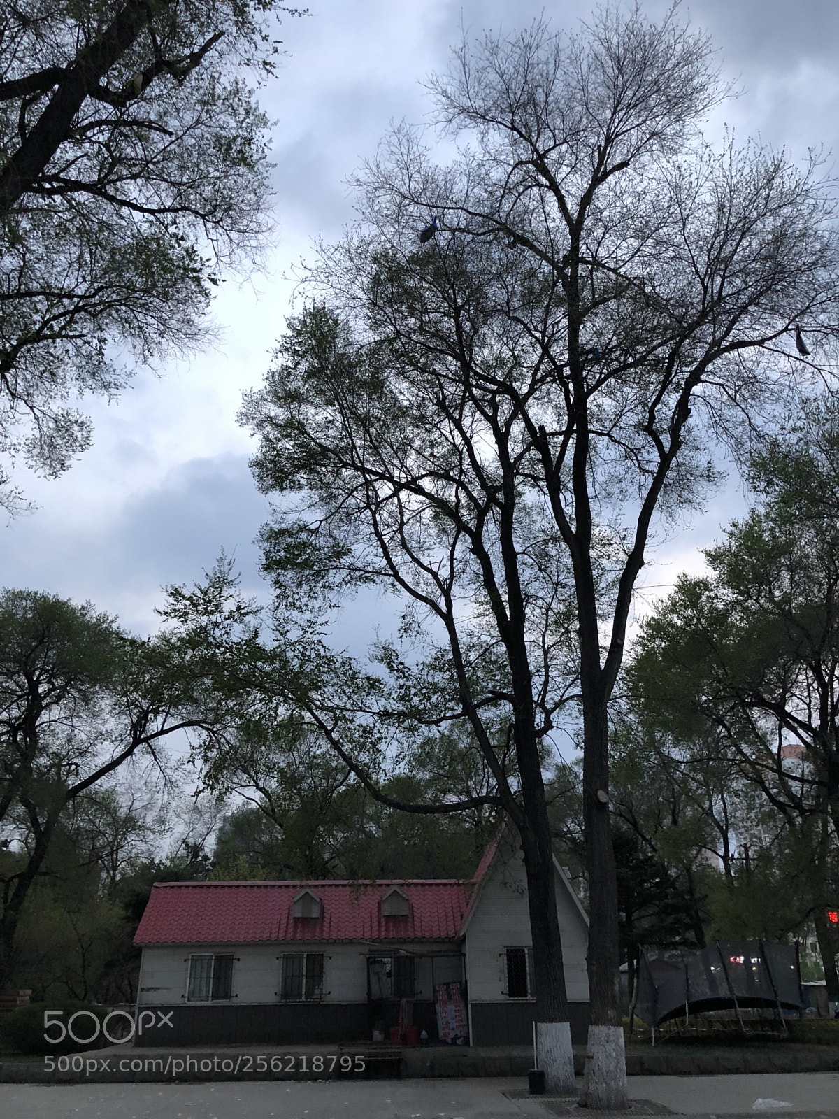 Apple iPhone X sample photo. The scenery of a photography