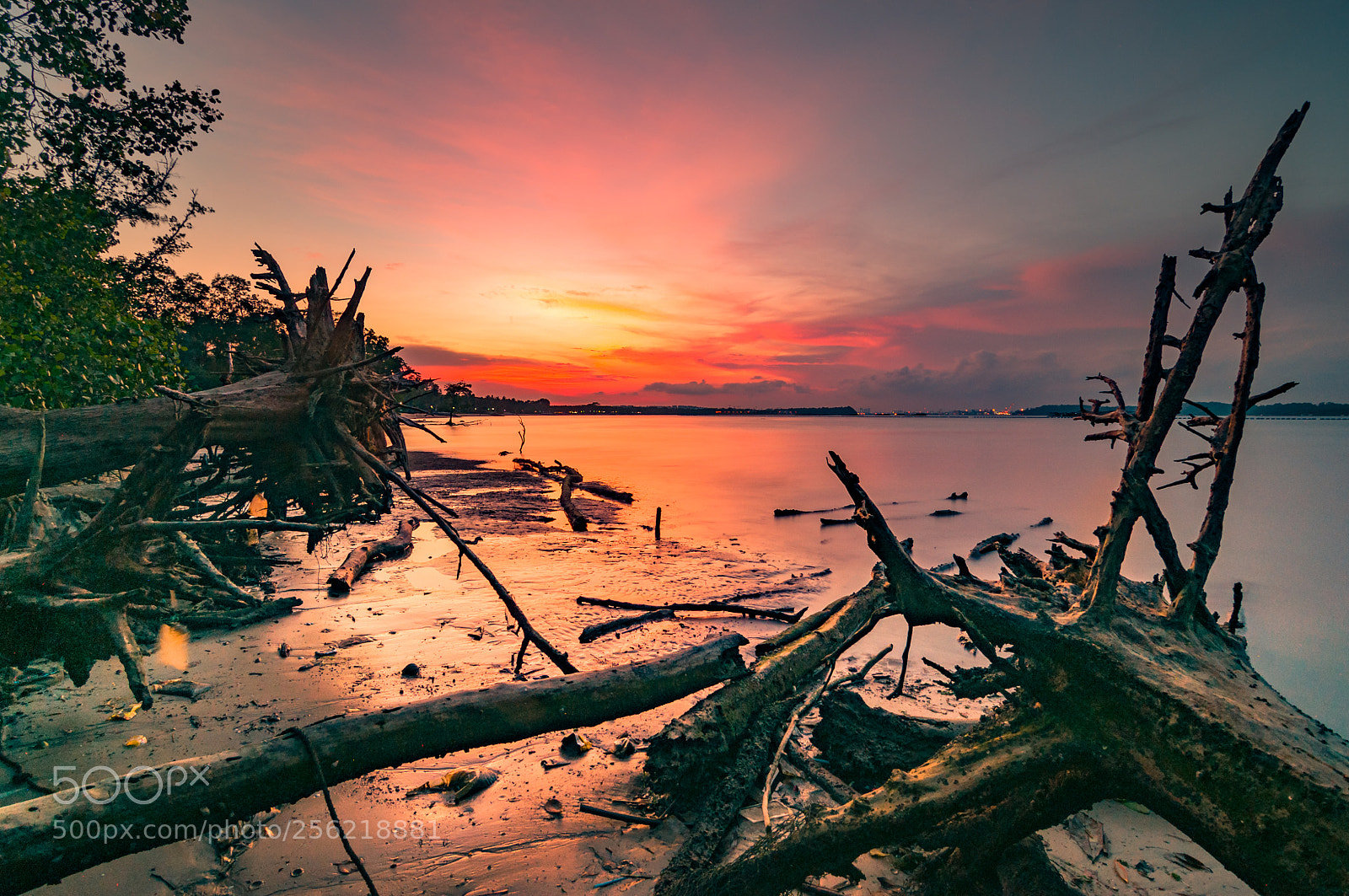 Nikon D90 sample photo. Singapore sunset photography