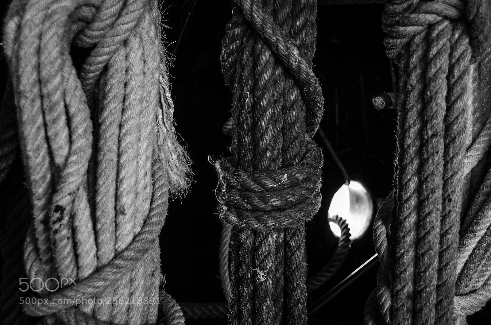 Nikon D5100 sample photo. Rope... photography