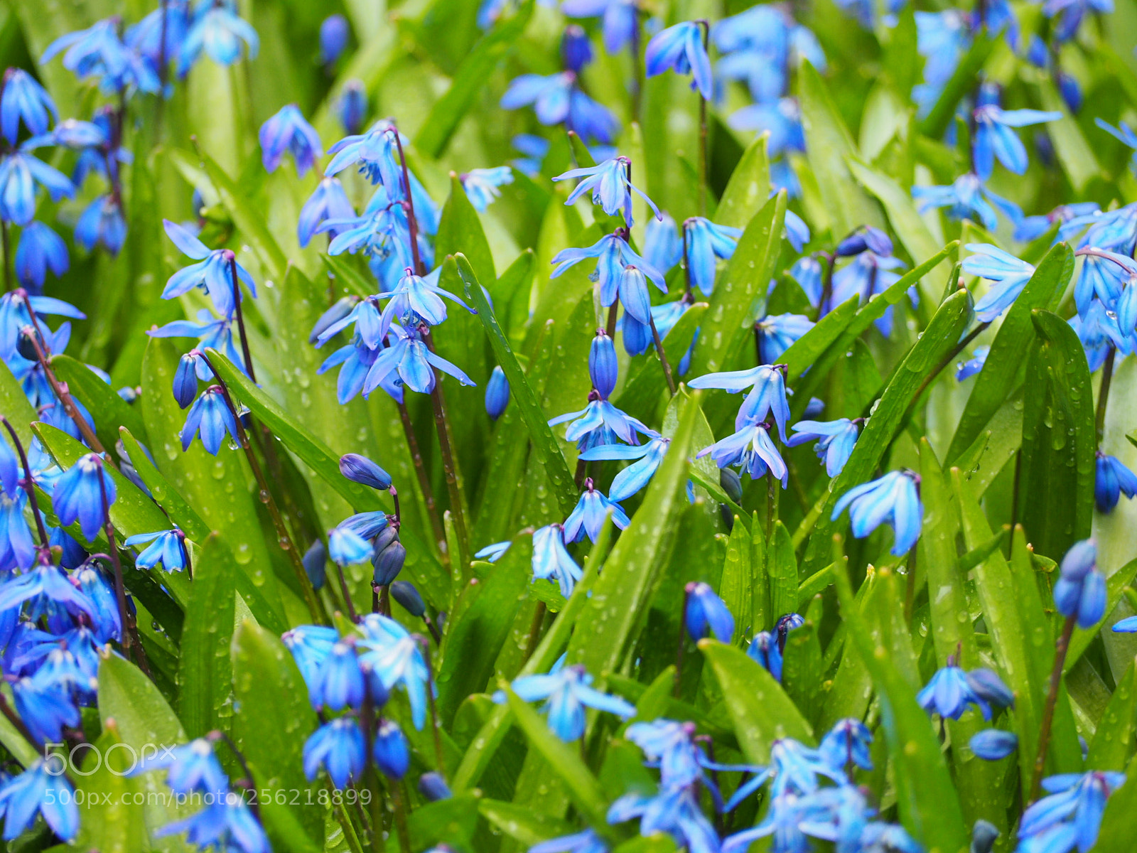Olympus OM-D E-M10 II sample photo. Untitled photography