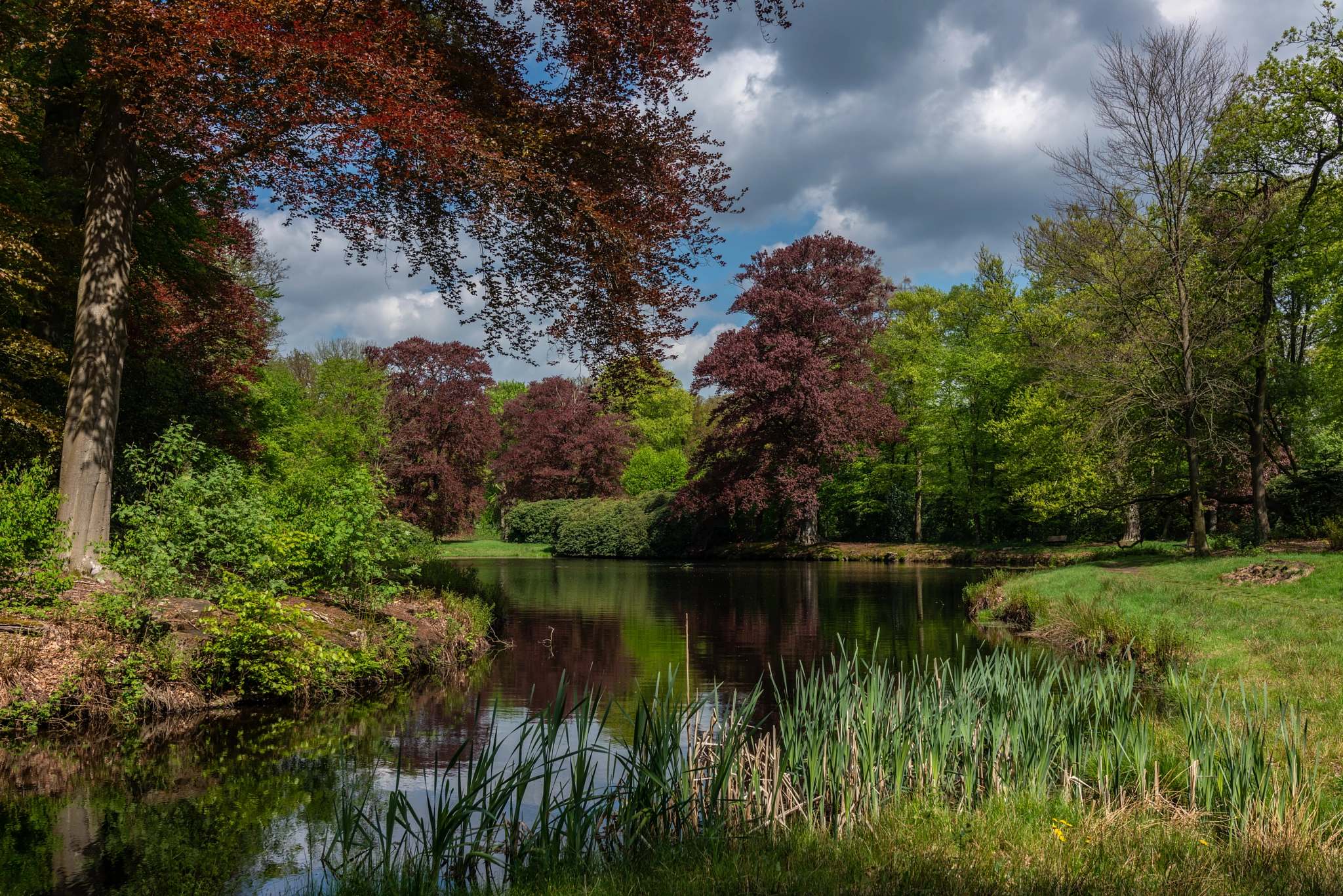 Sony Cyber-shot DSC-RX1R II sample photo. Dutch landscape photography