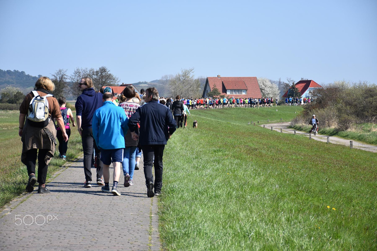 Nikon D7200 sample photo. They run / sie laufen photography