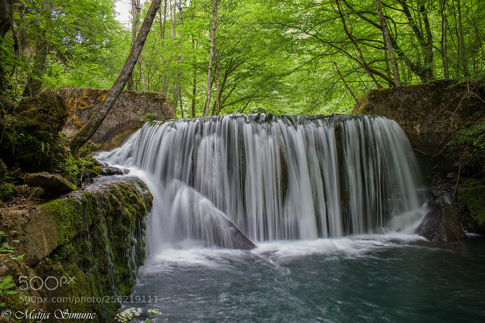 Nikon D5300 sample photo. Slapnica photography