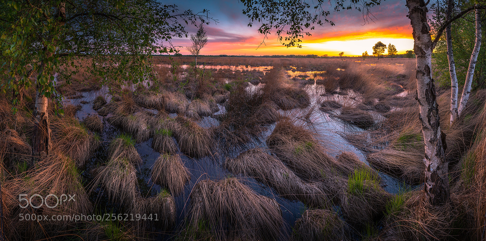 Canon EOS 6D sample photo. Sunset wierdense veld photography