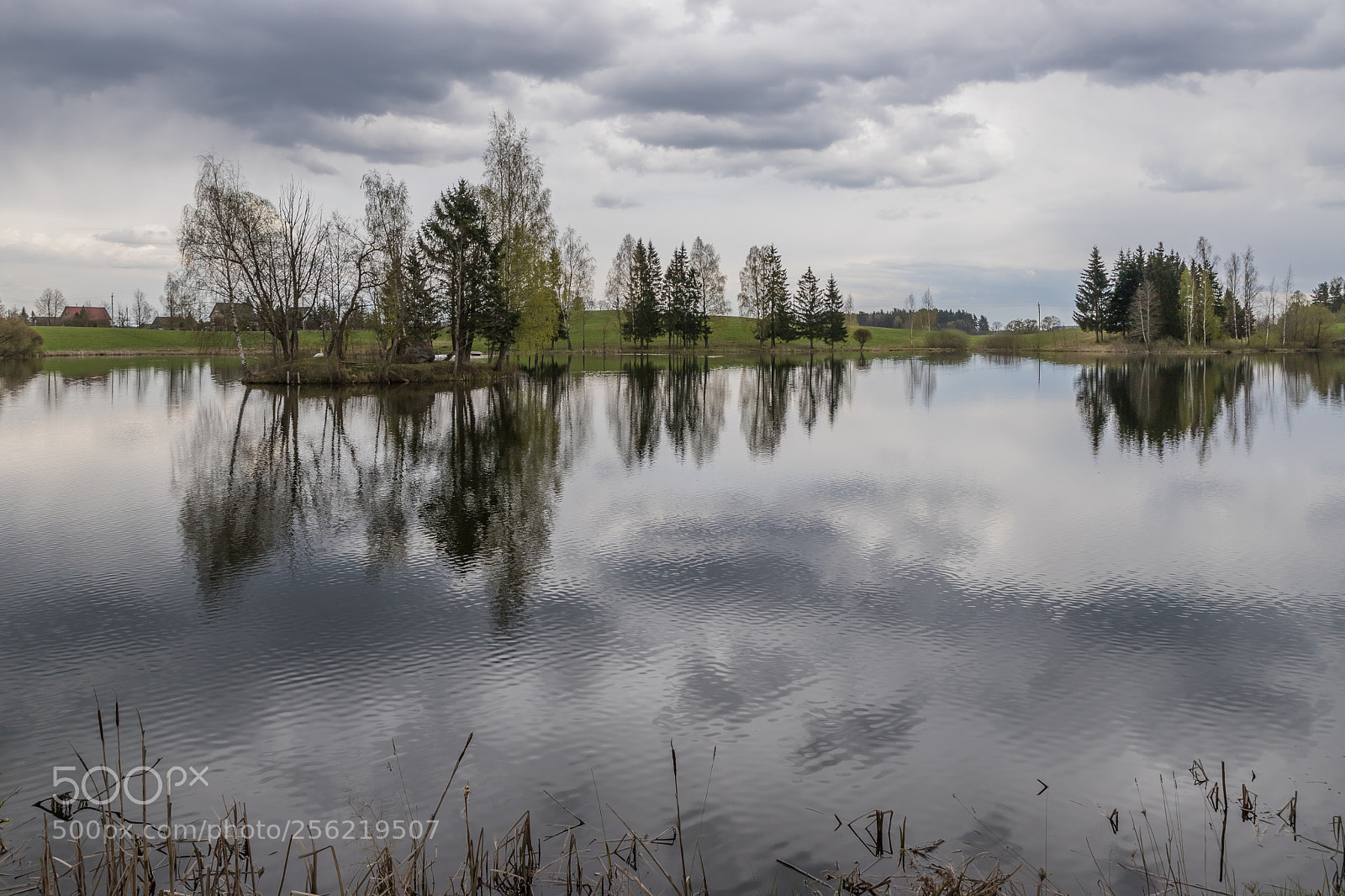 Canon EOS 6D Mark II sample photo. Rain is coming photography