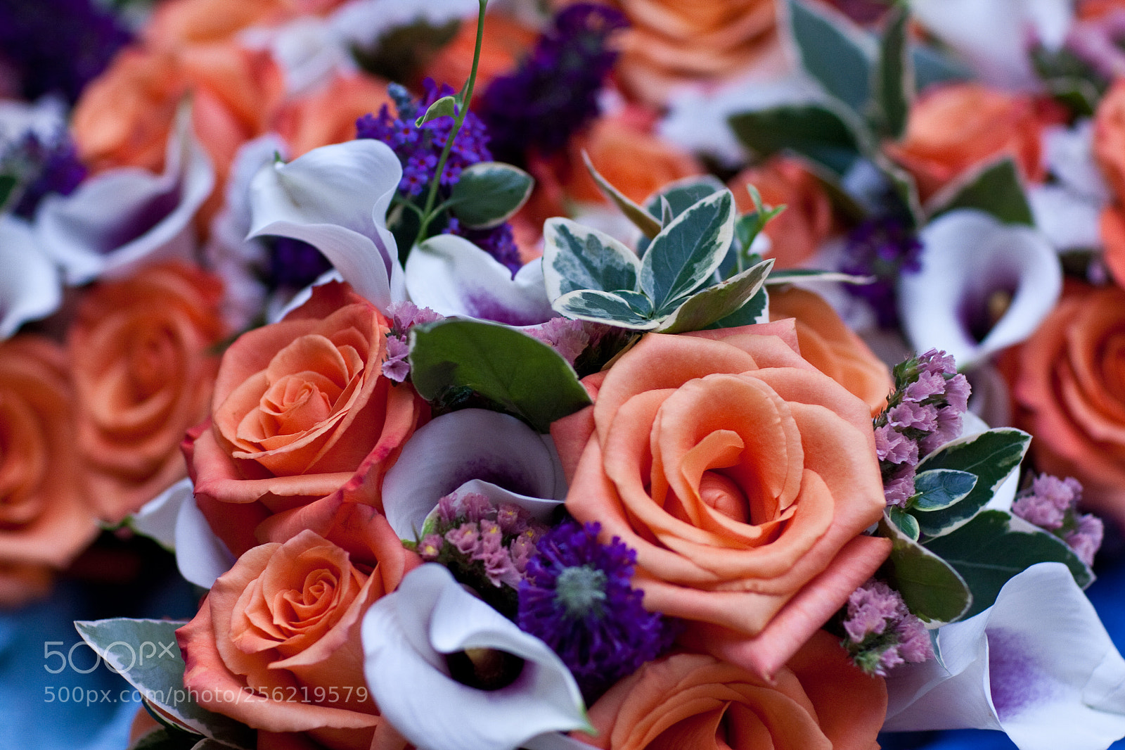 Canon EOS 40D sample photo. Bouquet photography