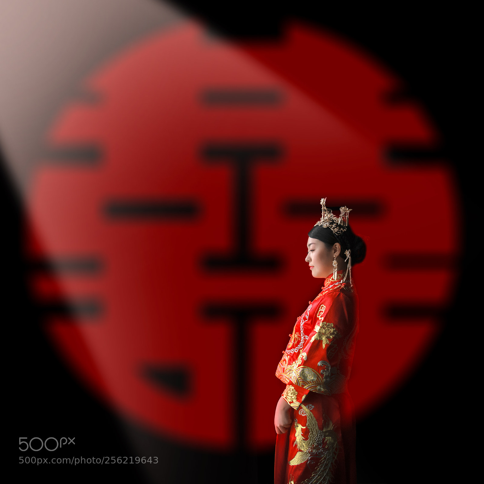 Nikon D850 sample photo. _dsc4717..jpg photography