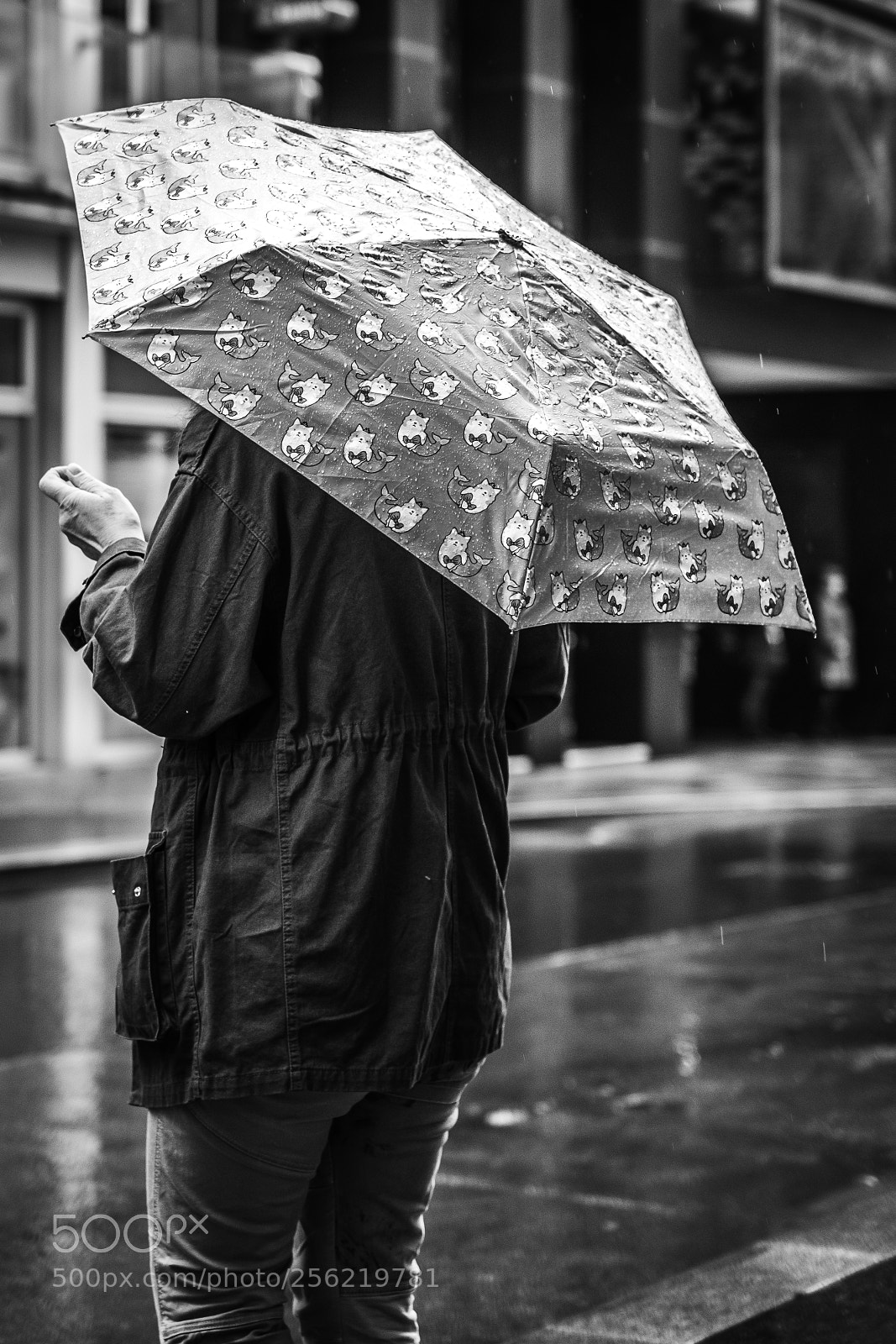 Fujifilm X-T2 sample photo. Rainy days, part ii photography