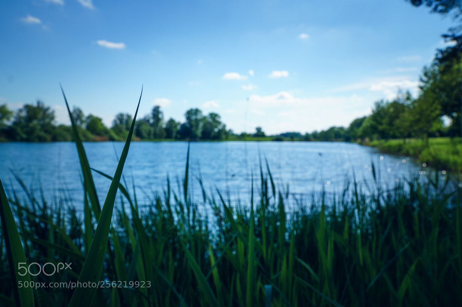 Sony a6000 sample photo. See photography