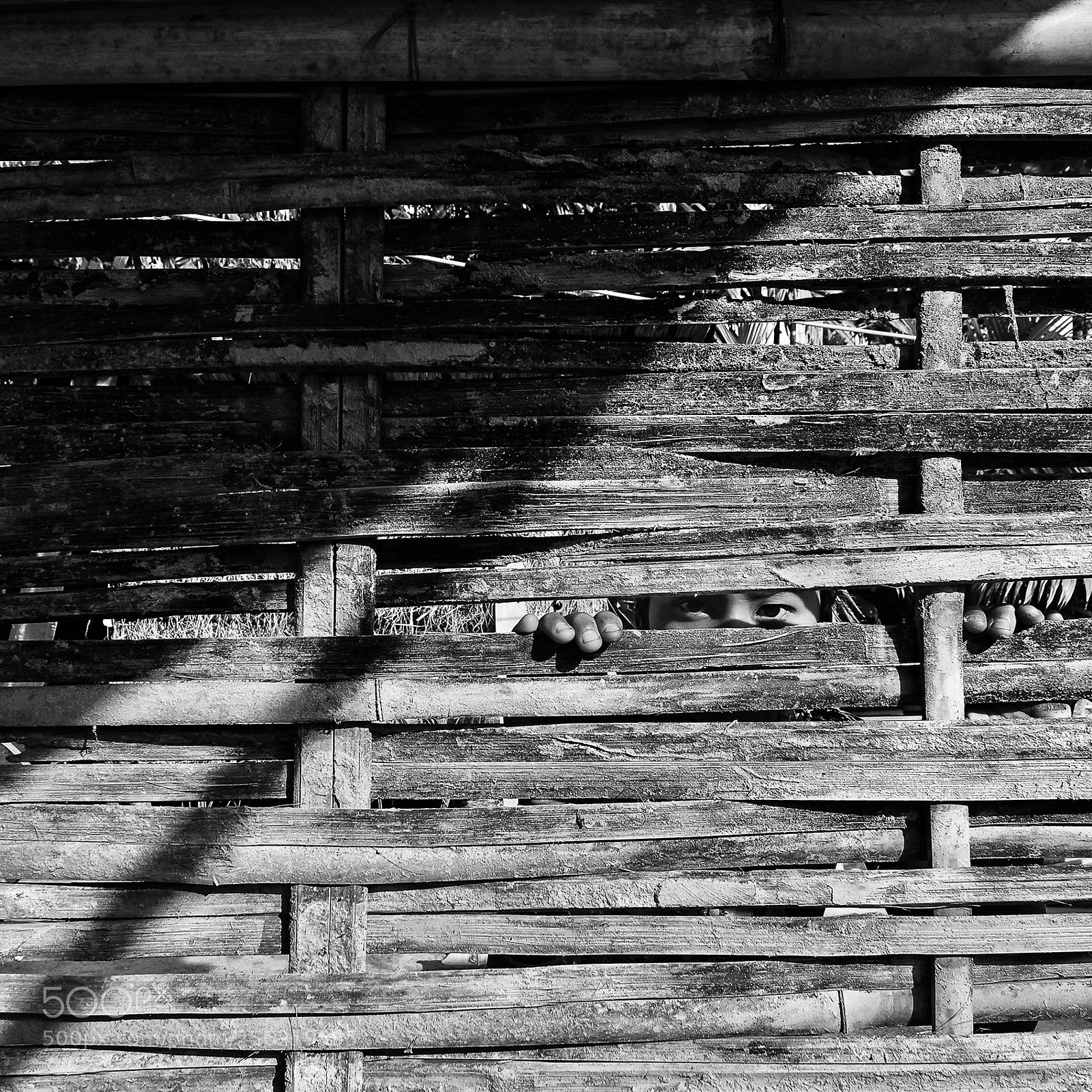 Nikon D7200 sample photo. I can see you! photography