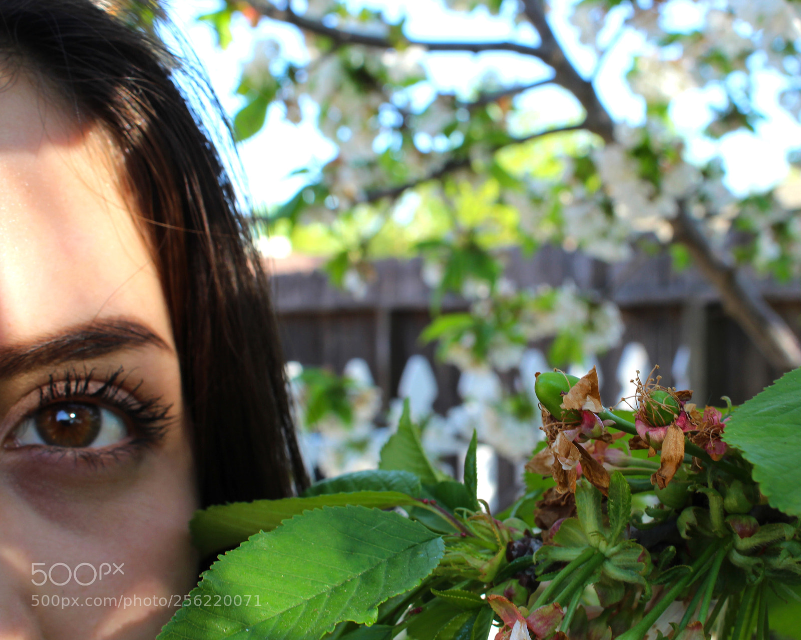 Canon EOS 700D (EOS Rebel T5i / EOS Kiss X7i) sample photo. Image photography