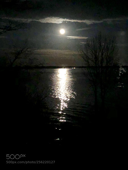 Apple iPhone 8 Plus sample photo. Moon over penobscot bay photography