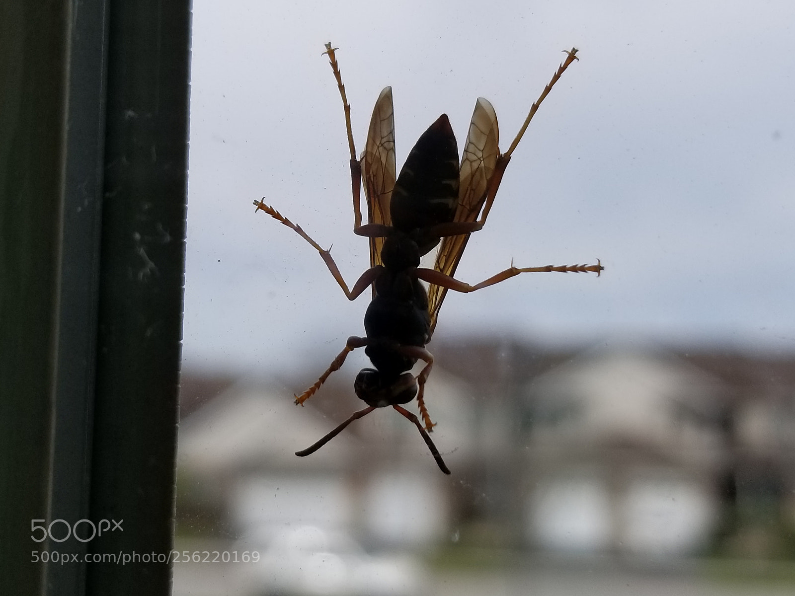 Samsung Galaxy S8 sample photo. Untitled photography