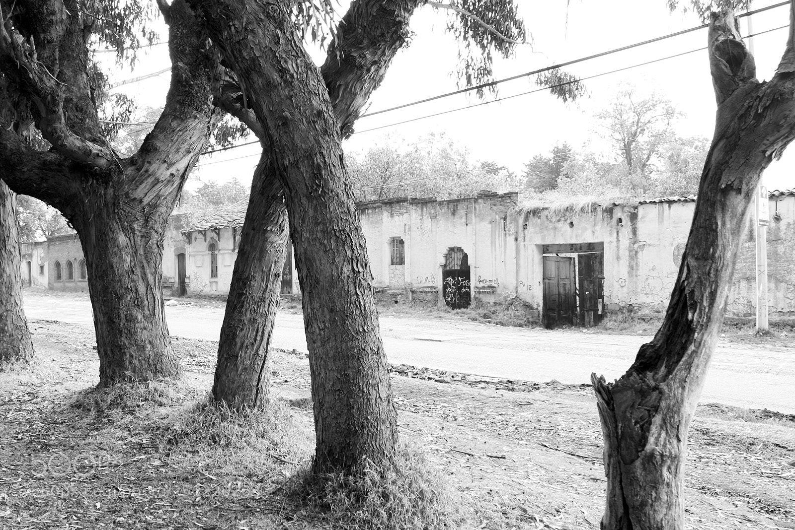 Canon EOS 80D sample photo. Pasado & ruinas photography