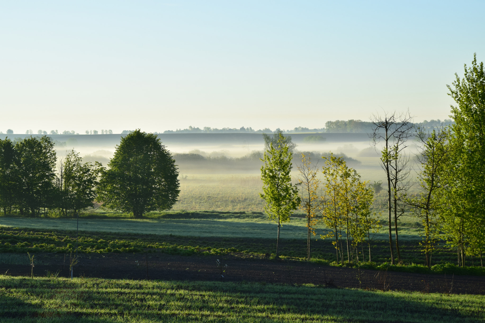 Nikon D3300 sample photo. Fog photography