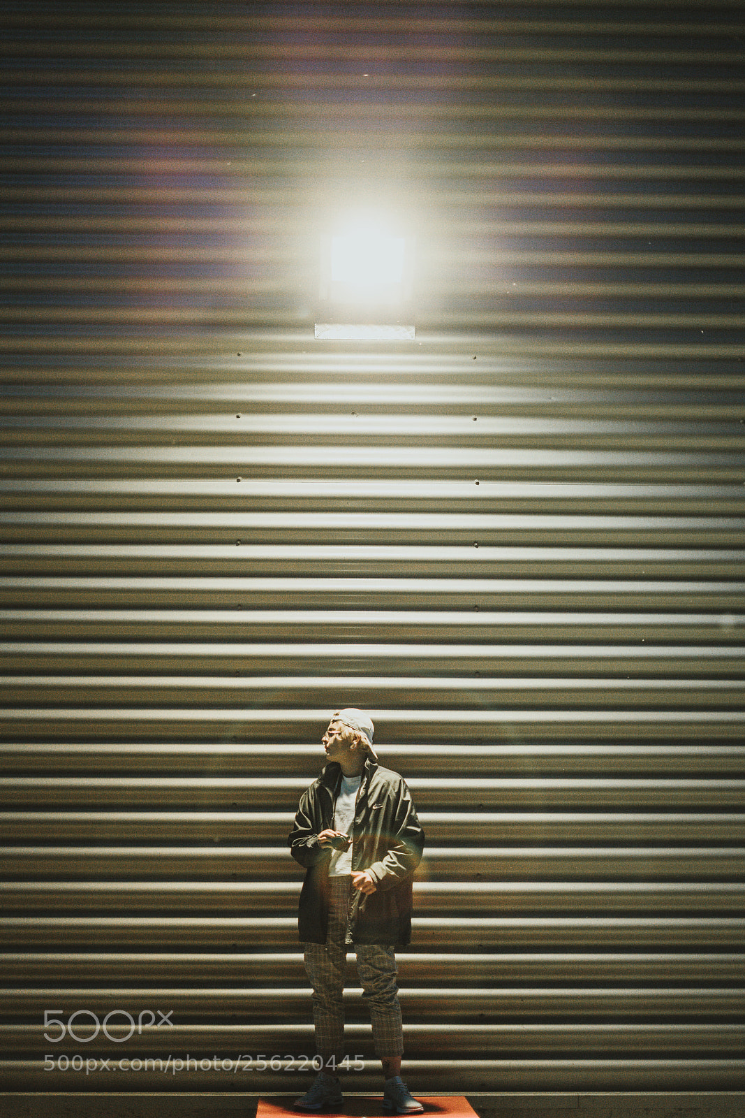 Sony a7R II sample photo. Nikead photography