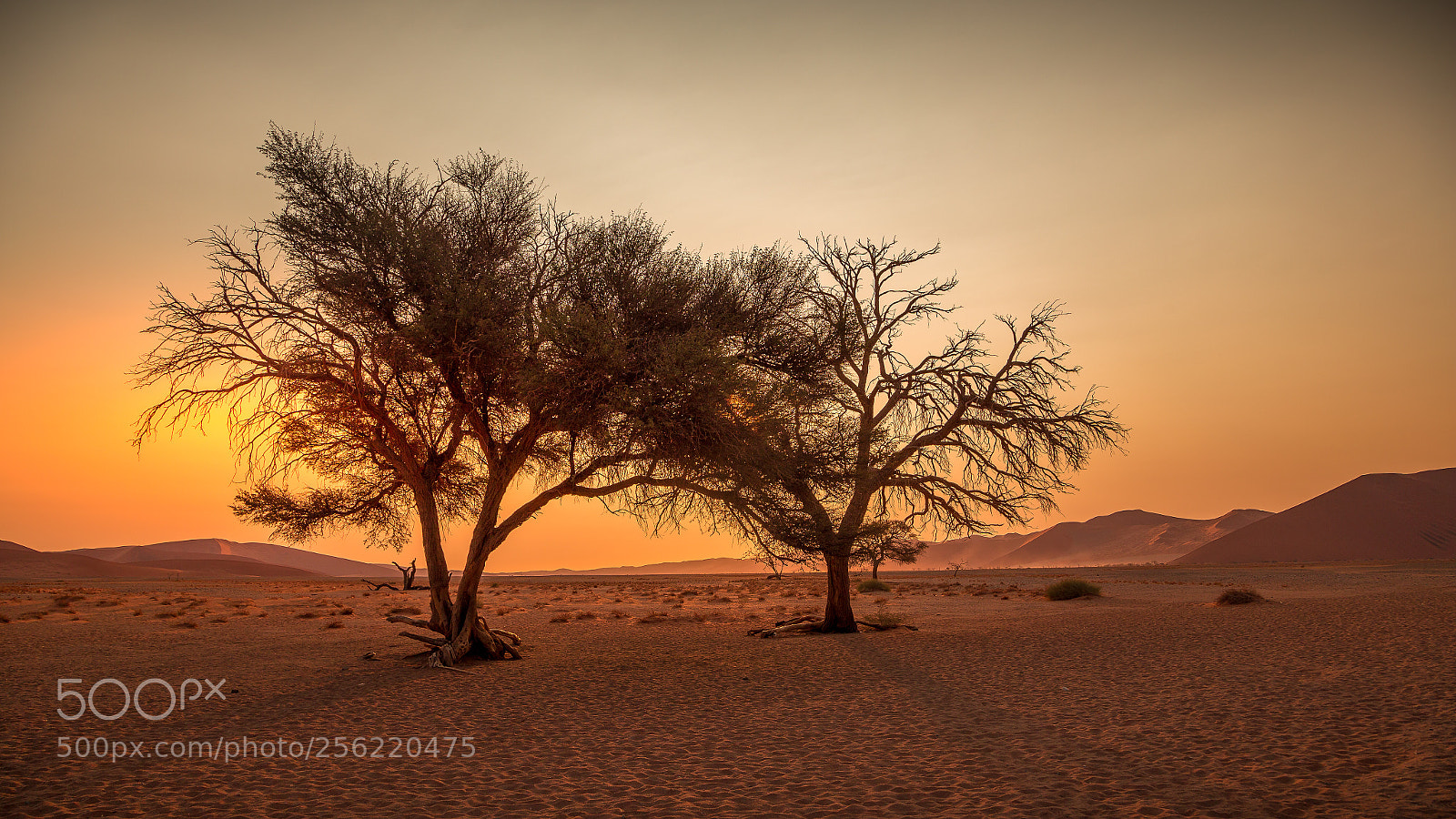 Canon EOS 6D sample photo. Sunset in the desert photography