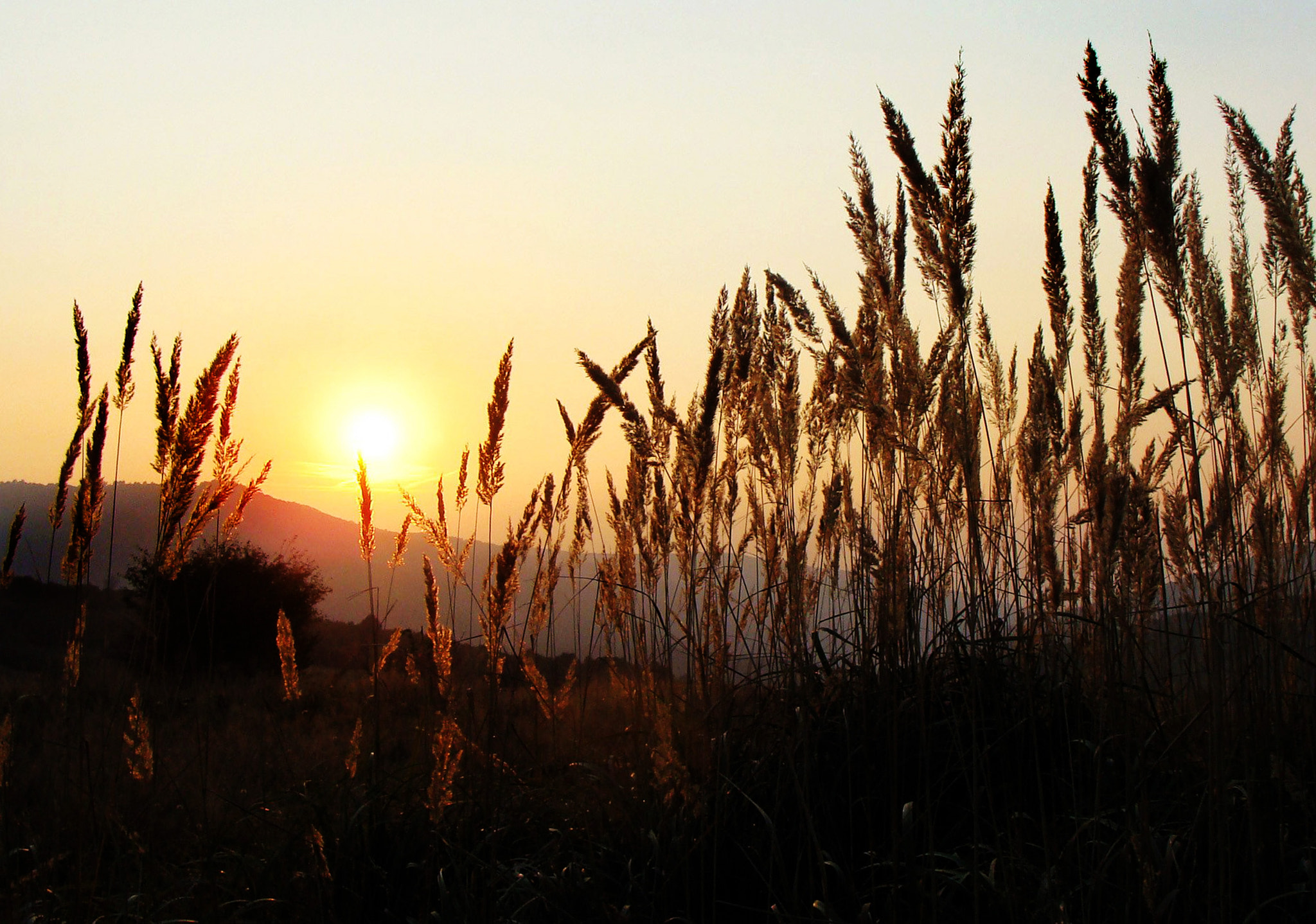 Sony DSC-H3 sample photo. Sleep well photography
