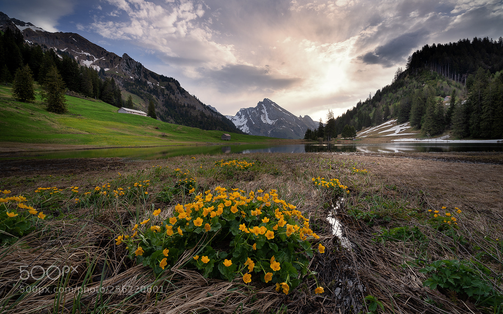 Nikon D750 sample photo. Gräppelensee photography