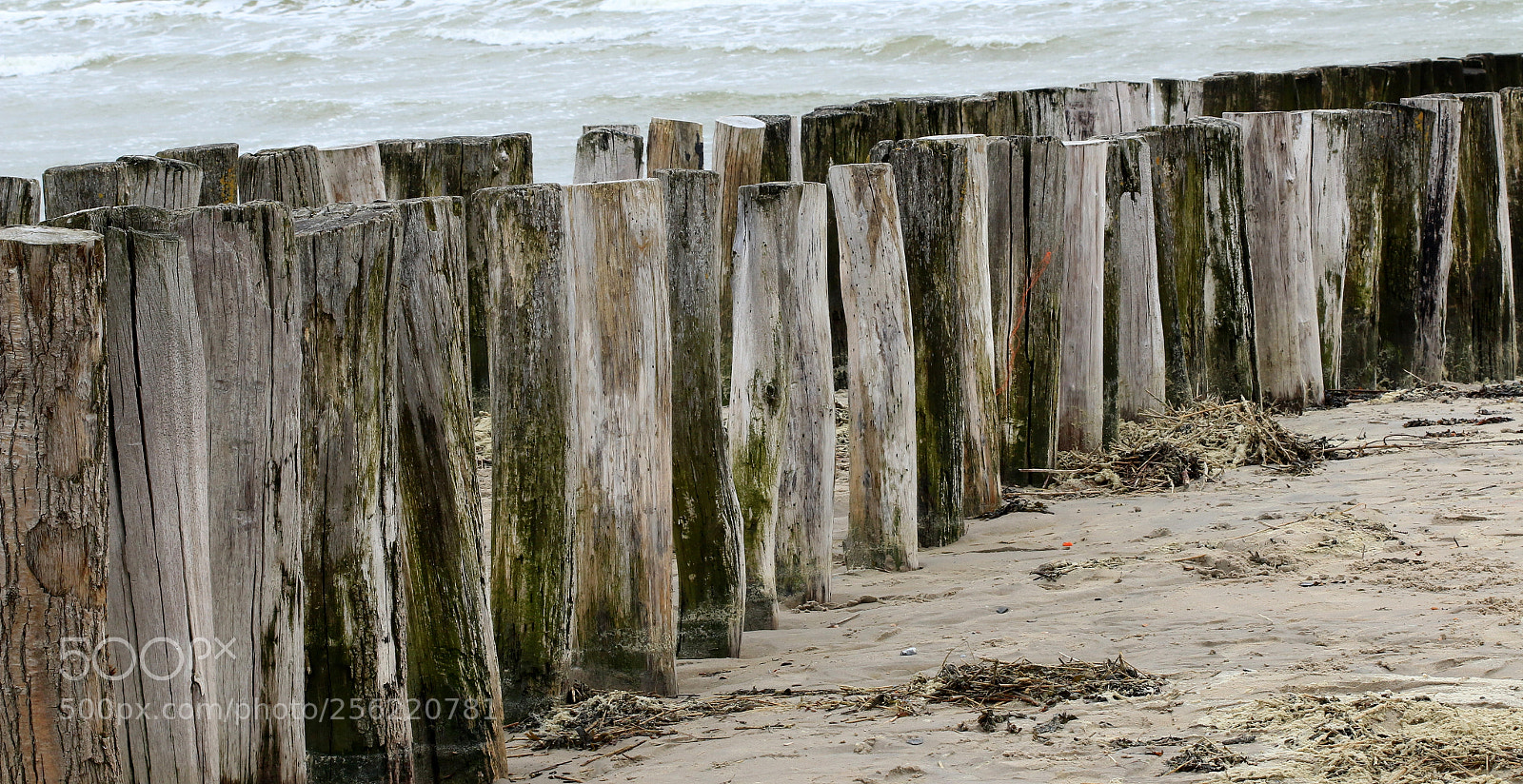Canon EOS 70D sample photo. Together..... photography