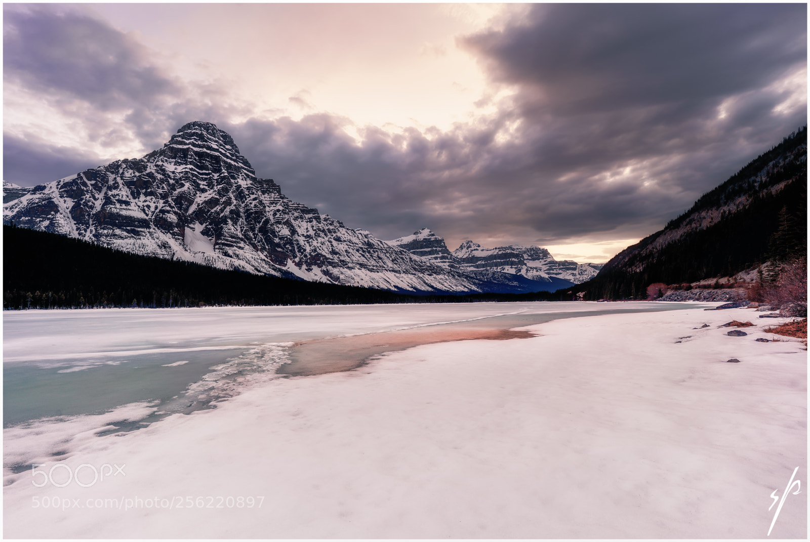 Sony a7R III sample photo. Fields of ice photography