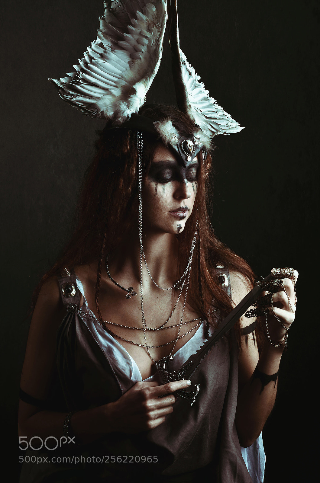 Nikon D7000 sample photo. Valkyrie photography