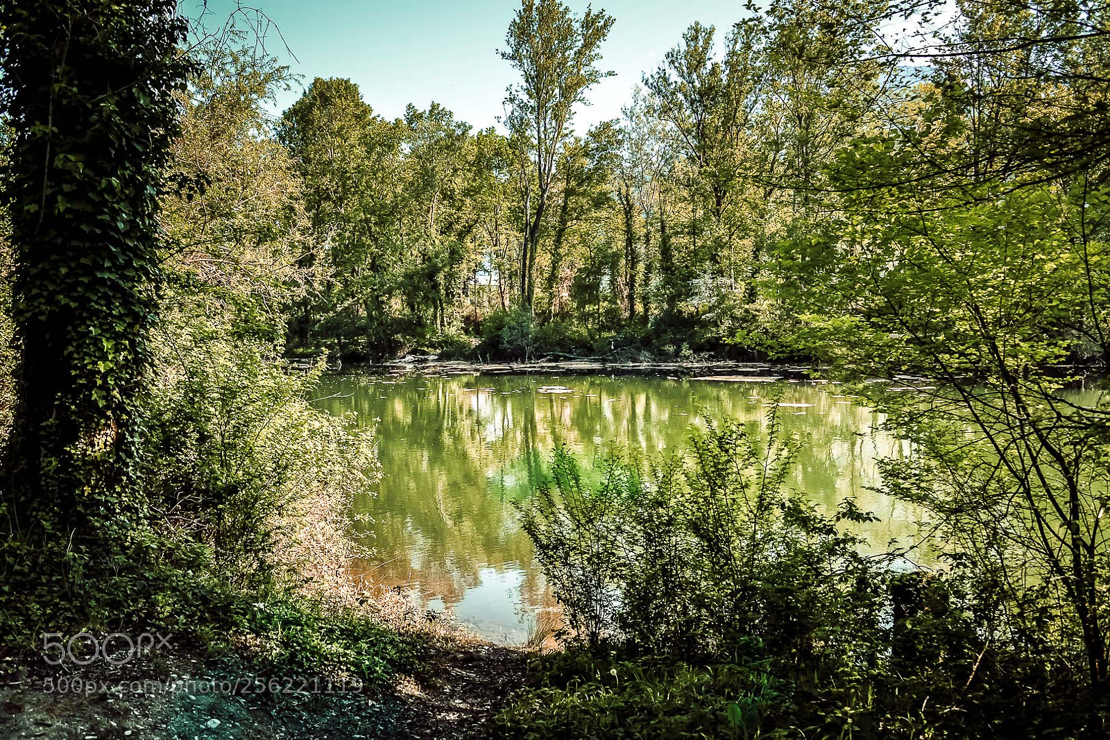 Nikon D610 sample photo. Body of water 2 photography