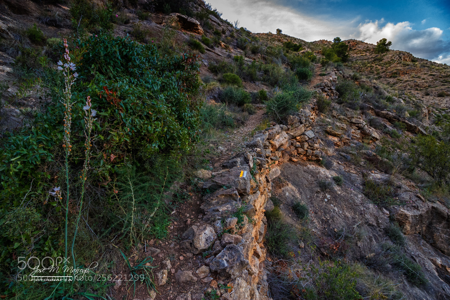 Canon EOS 100D (EOS Rebel SL1 / EOS Kiss X7) sample photo. Por buen camino photography