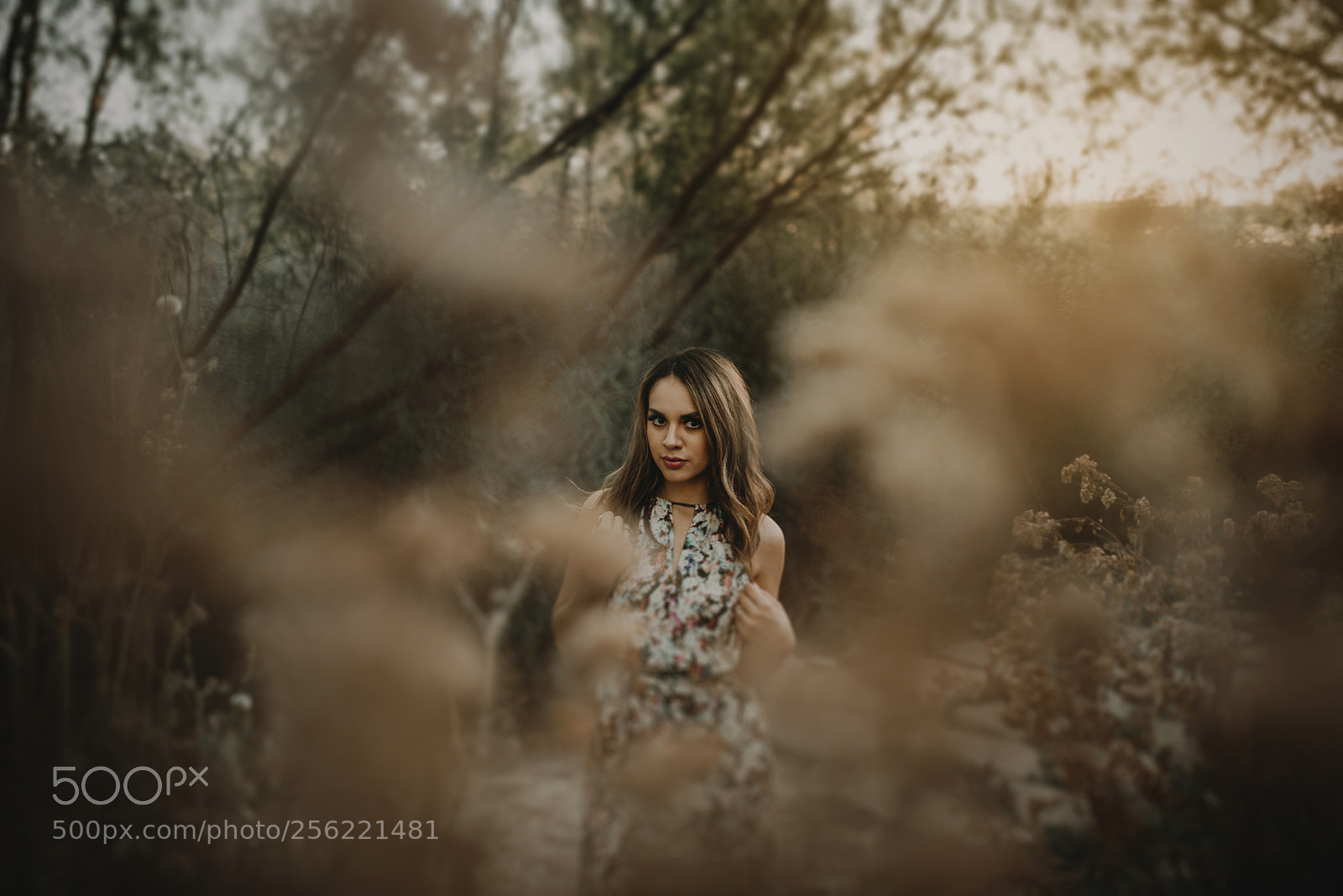 Nikon D750 sample photo. Cindy photography