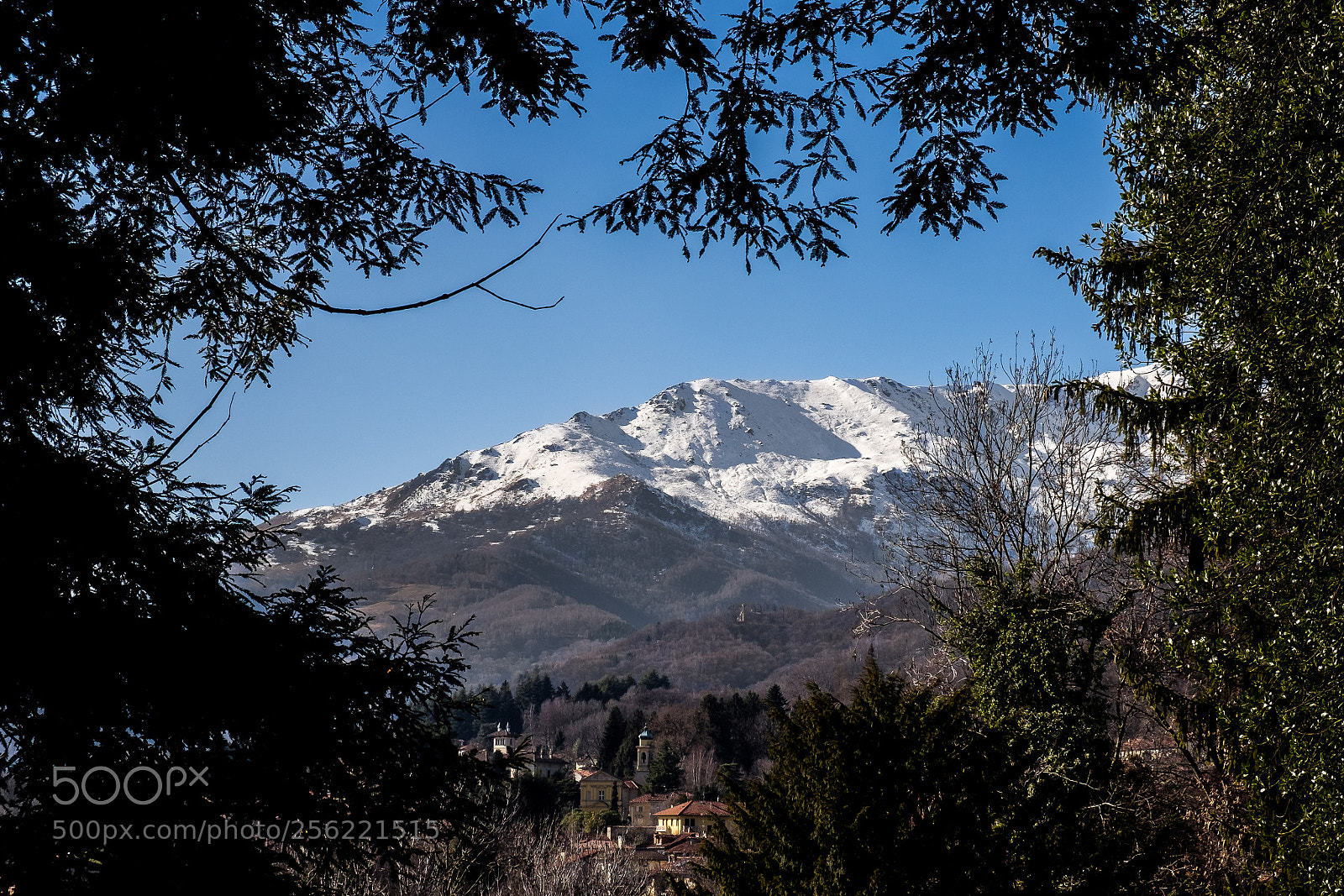 Fujifilm X-T10 sample photo. Parco burcina photography