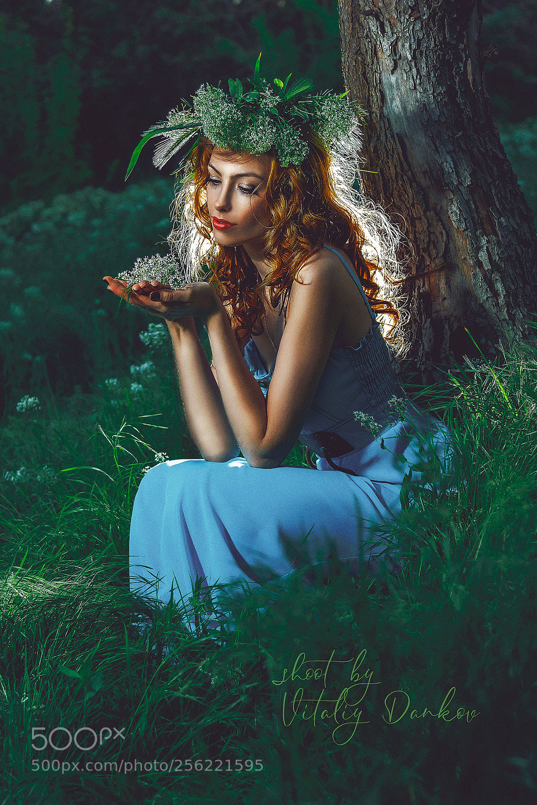 Canon EOS 7D Mark II sample photo. Elf photography