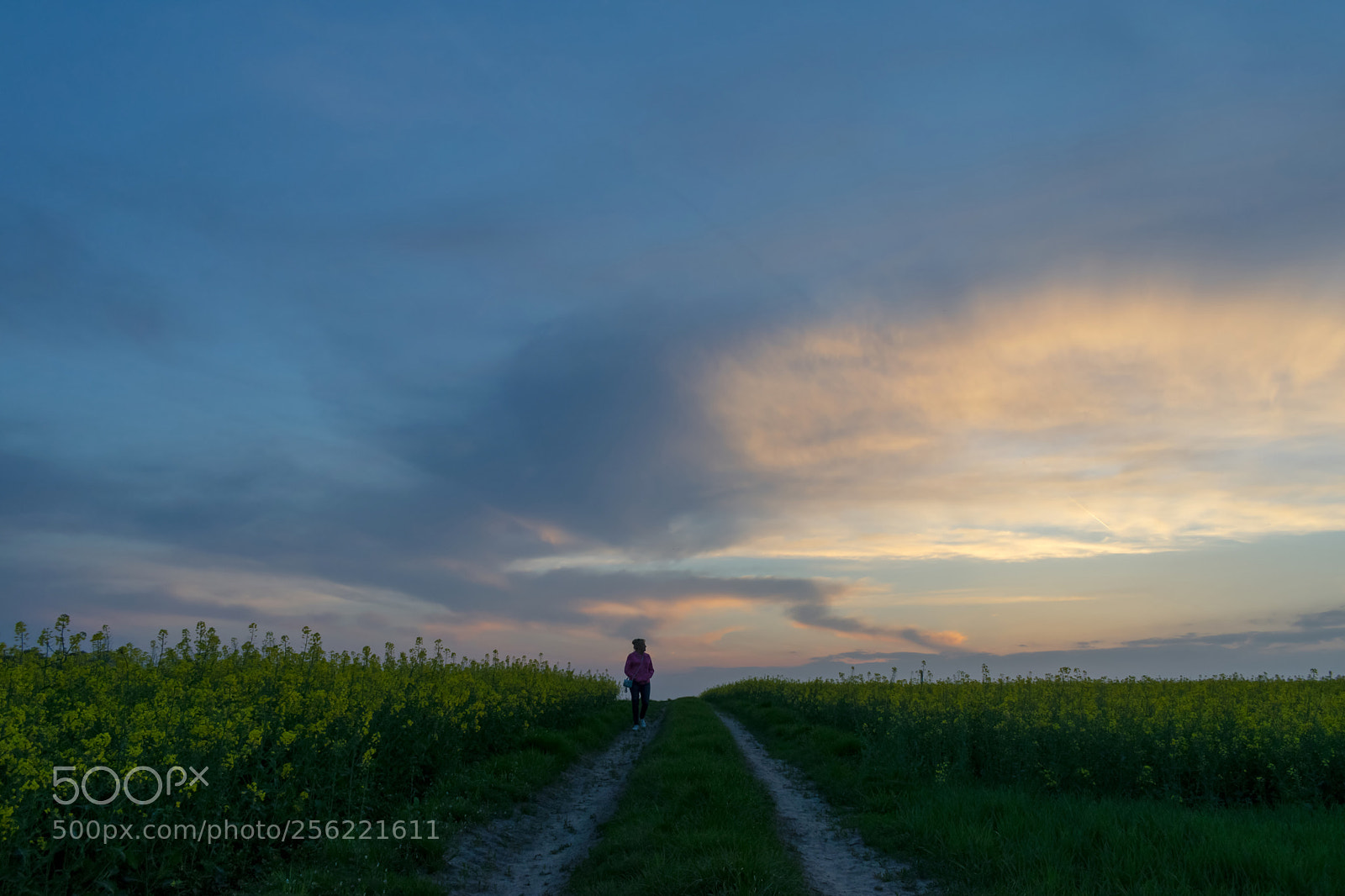 Nikon D3300 sample photo. Under the colourful sky photography