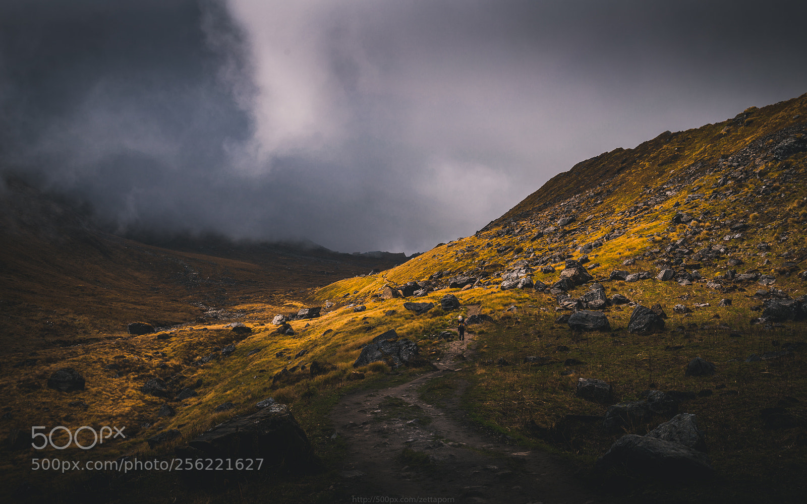 Nikon D800 sample photo. Middle earth photography