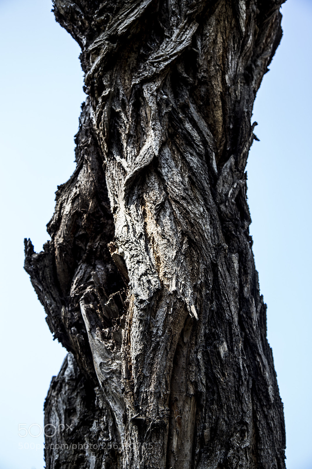 Canon EOS 6D sample photo. 2790 photography