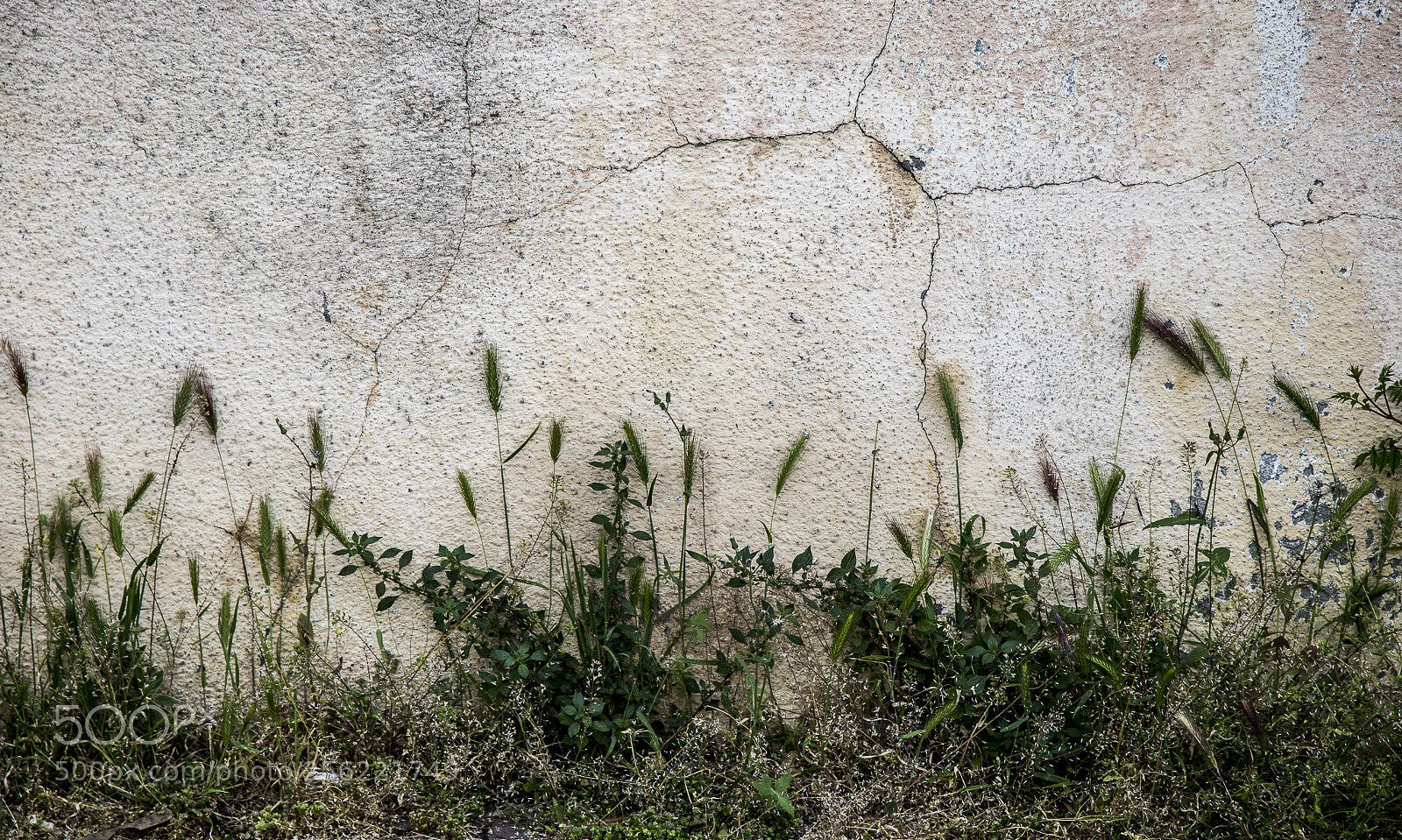 Canon EOS 6D sample photo. 2833 photography
