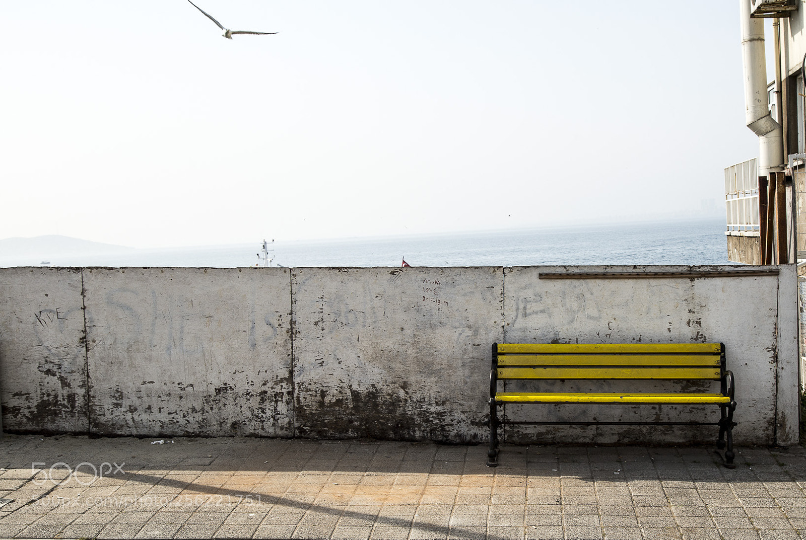 Canon EOS 6D sample photo. 2843 photography