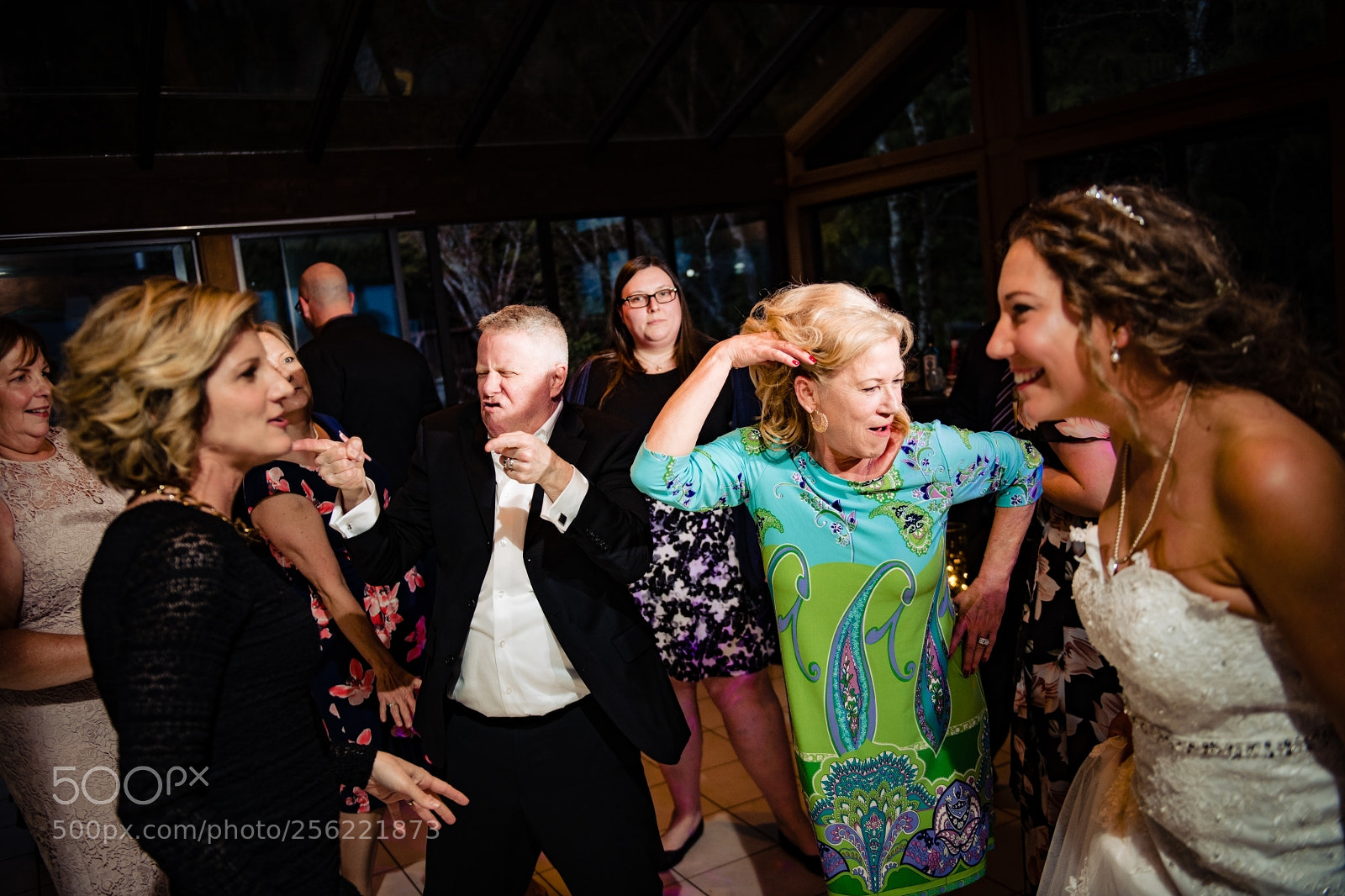 Nikon D850 sample photo. Untitled photography
